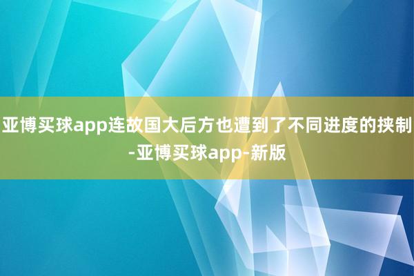 亚博买球app连故国大后方也遭到了不同进度的挟制-亚博买球app-新版