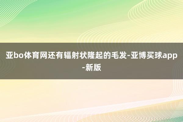 亚bo体育网还有辐射状隆起的毛发-亚博买球app-新版